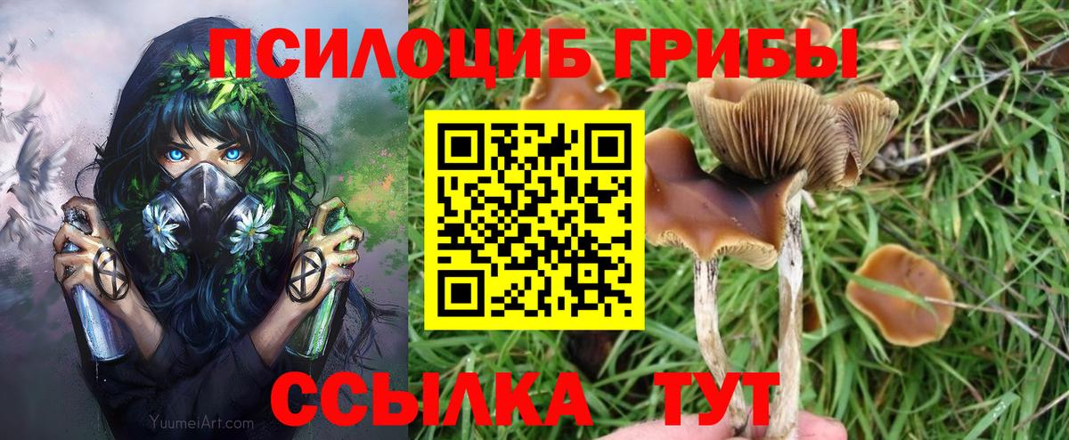Миасс  Галлюциногенные грибы Psilocybine cubensis  Вход с VPN  Псилоцибиновые грибы GOLDEN TEACHER 